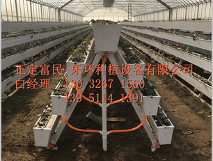 種植槽圖片/種植槽樣板圖 (3)