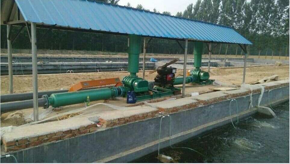 污水處理羅茨風(fēng)機(jī)圖片/污水處理羅茨風(fēng)機(jī)樣板圖 (4)