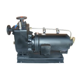 PBZX高溫自吸屏蔽泵圖片