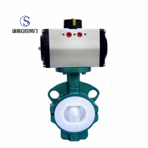 氣動(dòng)襯氟耐腐蝕對(duì)夾圖片/氣動(dòng)襯氟耐腐蝕對(duì)夾樣板圖 (1)