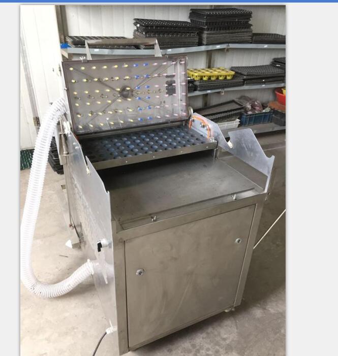 蔬菜育苗播種機(jī) 穴盤蔬菜育苗播種機(jī) 穴盤播種機(jī)--常州風(fēng)雷播種機(jī)--常