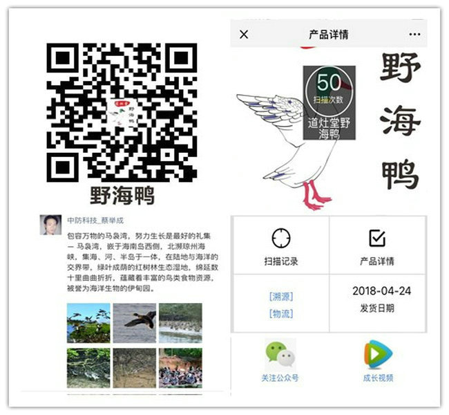 家禽腳環(huán)圖片/家禽腳環(huán)樣板圖 (2)