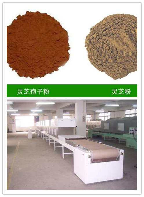 碳化硅微粉圖片/碳化硅微粉樣板圖 (4)