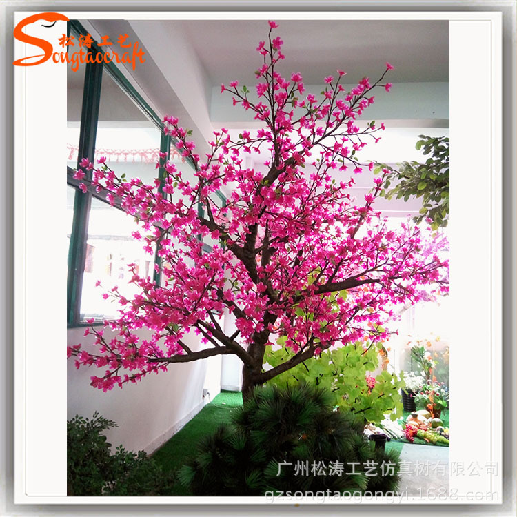 櫻花樹圖片/櫻花樹樣板圖 (2)