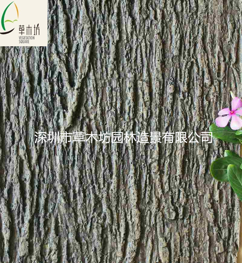 樹皮圖片/樹皮樣板圖 (3)