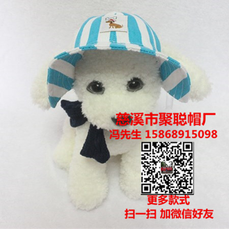 寵物用品圖片/寵物用品樣板圖 (3)