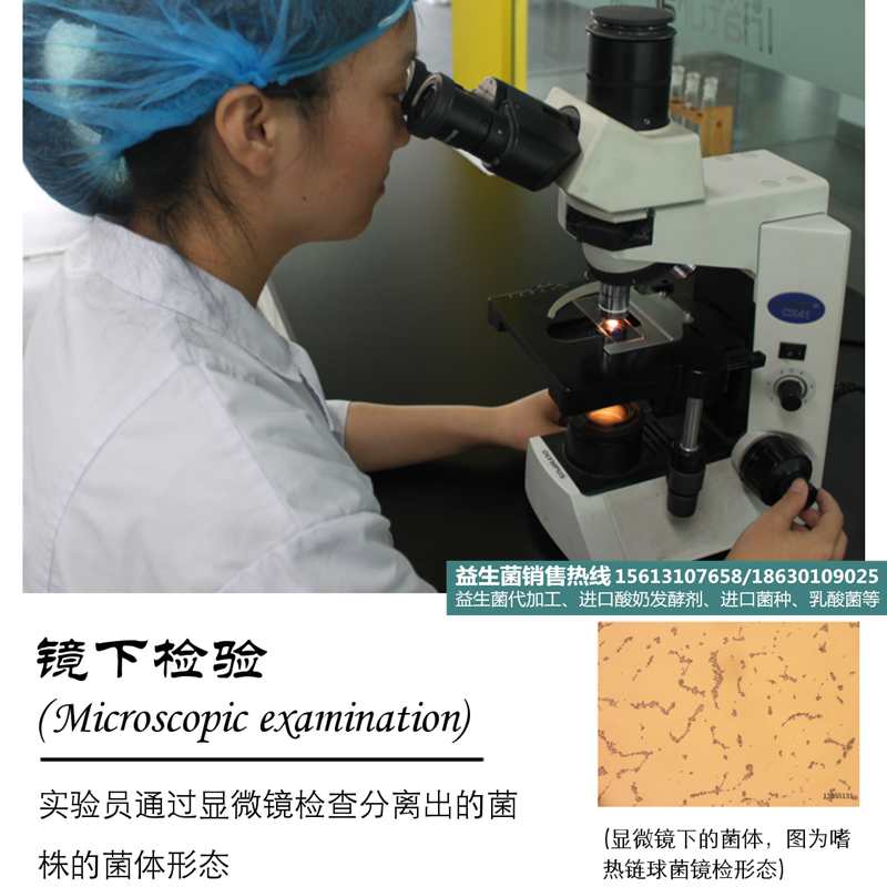 益生菌圖片/益生菌樣板圖 (2)