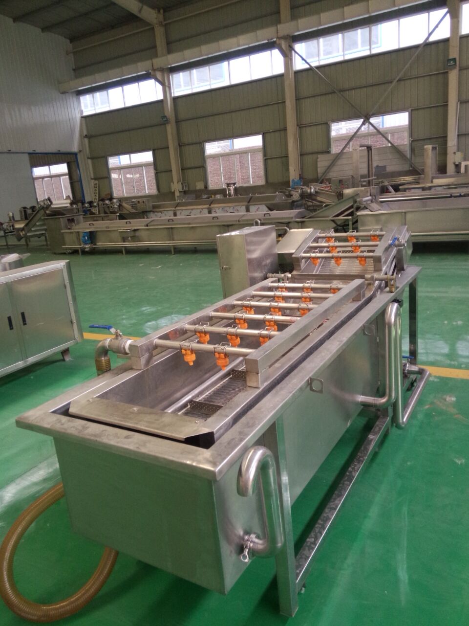 龍蝦清洗機 貝類海鮮清洗設備圖片
