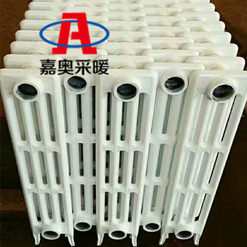 鑄鐵暖氣片圖片/鑄鐵暖氣片樣板圖 (3)