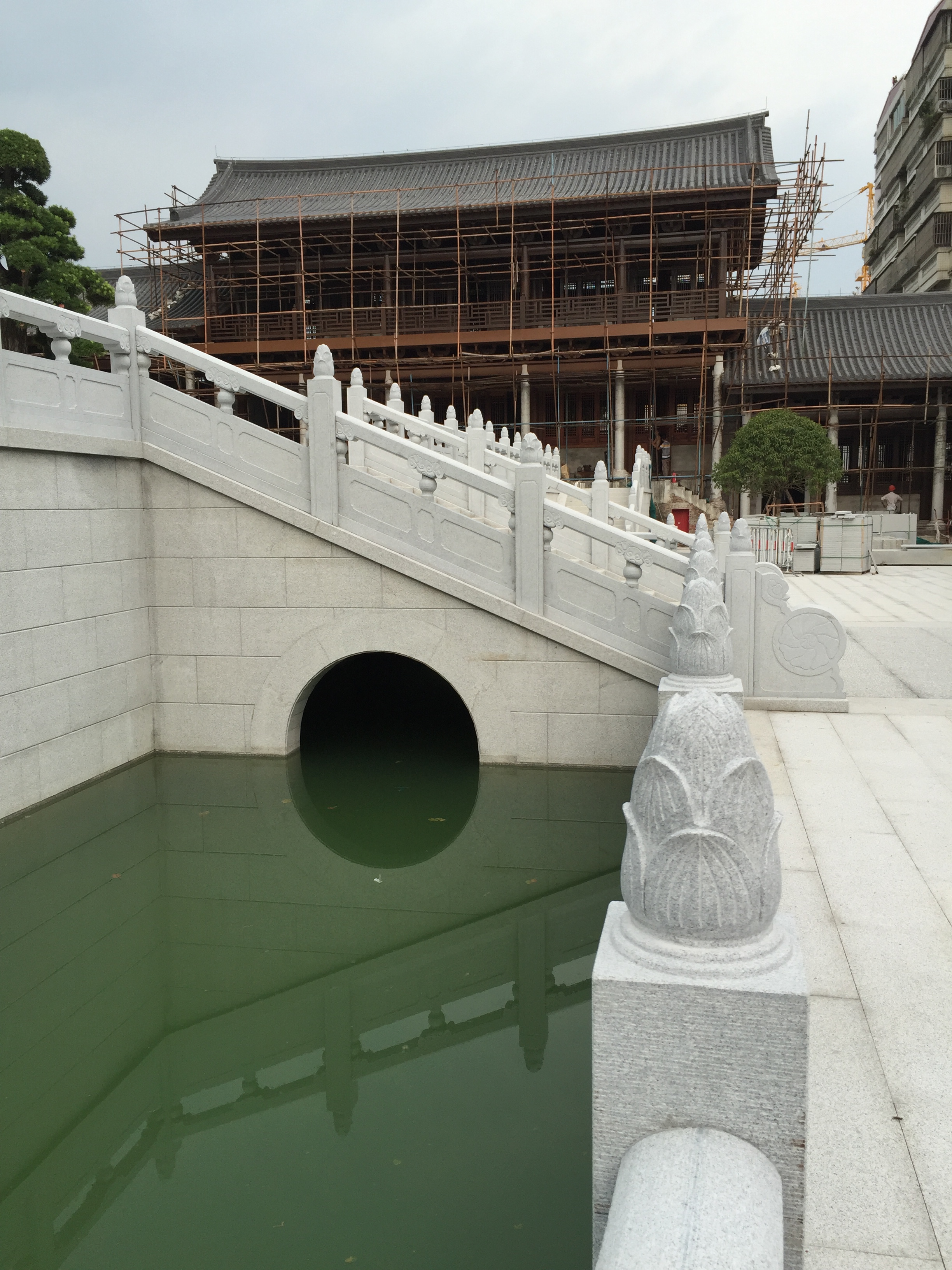 芝麻灰圖片/芝麻灰樣板圖 (4)