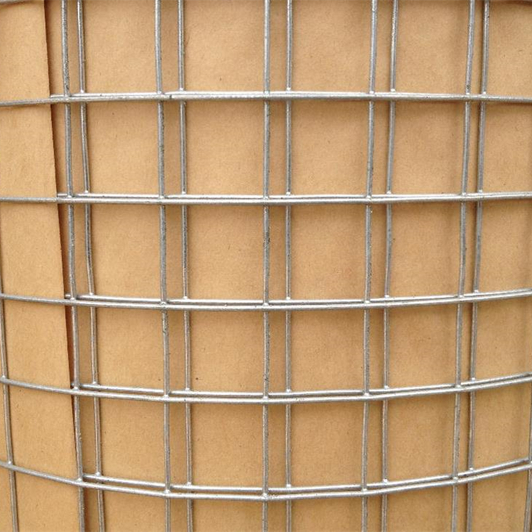 批蕩網(wǎng)圖片/批蕩網(wǎng)樣板圖 (2)