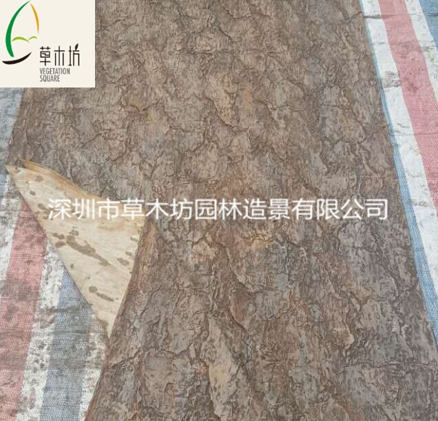 油松樹皮  仿真樹皮 假樹皮圖片/油松樹皮  仿真樹皮 假樹皮樣板圖 (2)