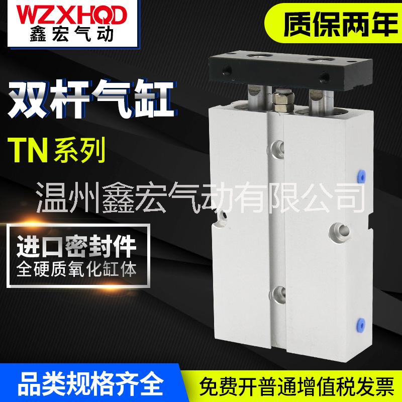 TN雙桿氣缸圖片