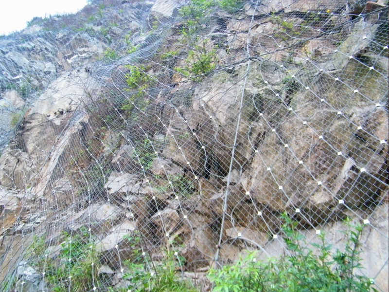 sns邊坡防護網(wǎng)多少錢
