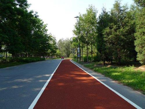 PU跑道圖片/PU跑道樣板圖 (2)