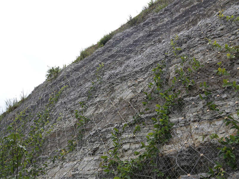 sns邊坡防護圖片/sns邊坡防護樣板圖 (3)