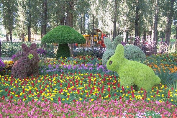 新園五色草立體造型-兔子圖片