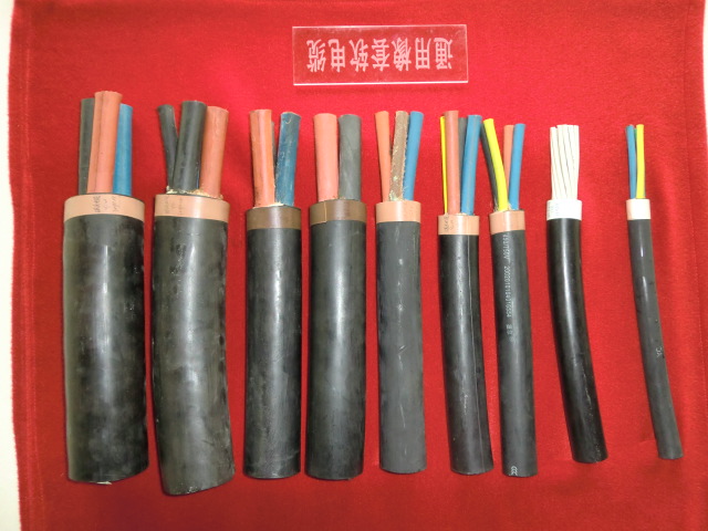 防水電纜圖片/防水電纜樣板圖 (1)