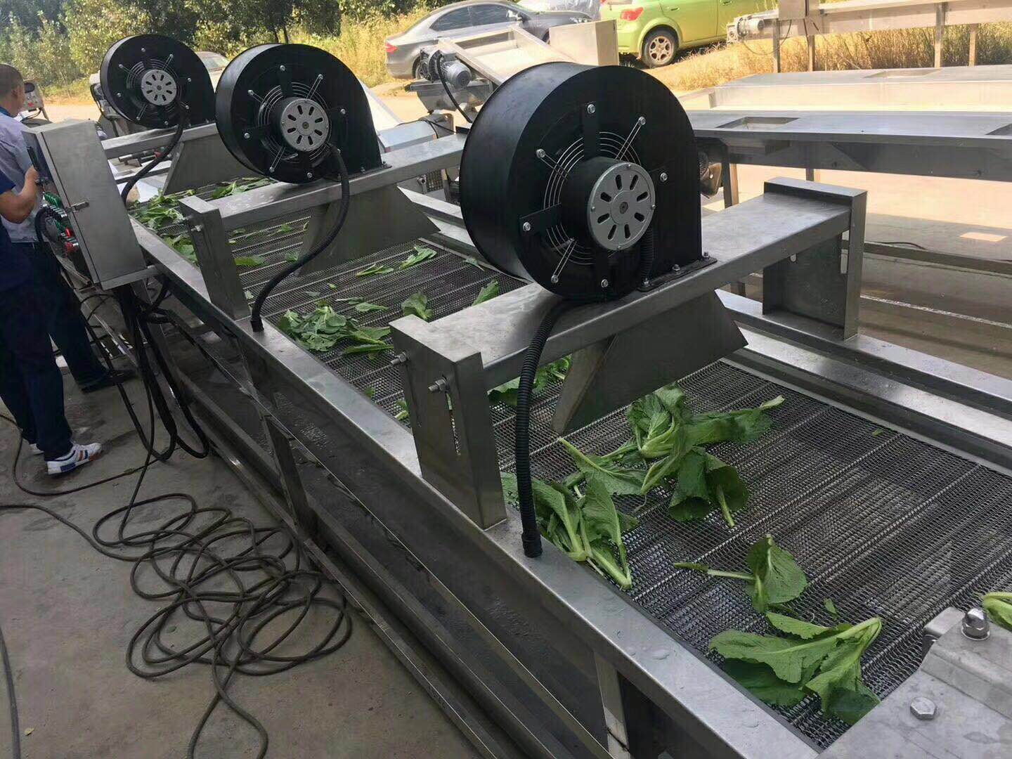 凈菜加工流水線圖片/凈菜加工流水線樣板圖 (3)