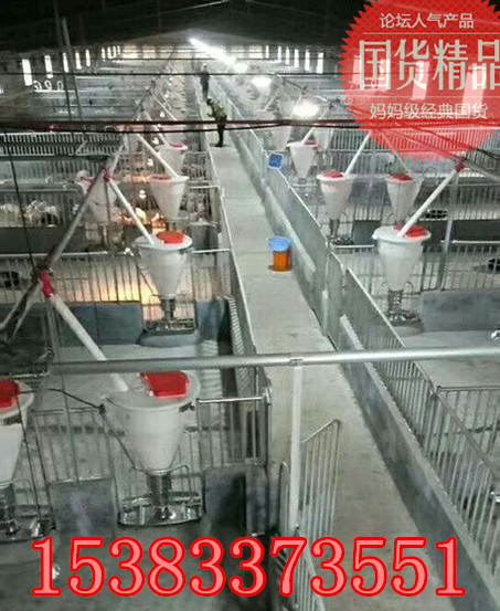 大型豬場(chǎng)圖片/大型豬場(chǎng)樣板圖 (2)