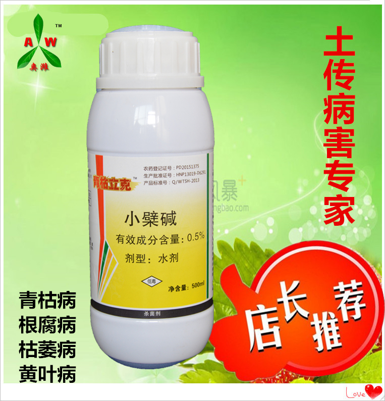 大雨來(lái)襲，密切關(guān)注姜瘟病圖片