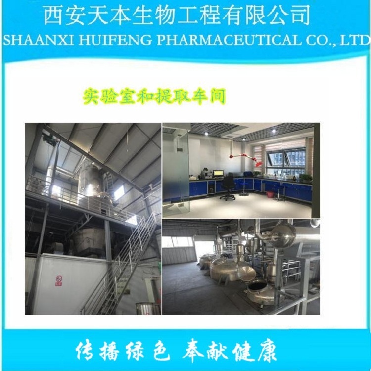 刺蒺藜提取物圖片/刺蒺藜提取物樣板圖 (2)