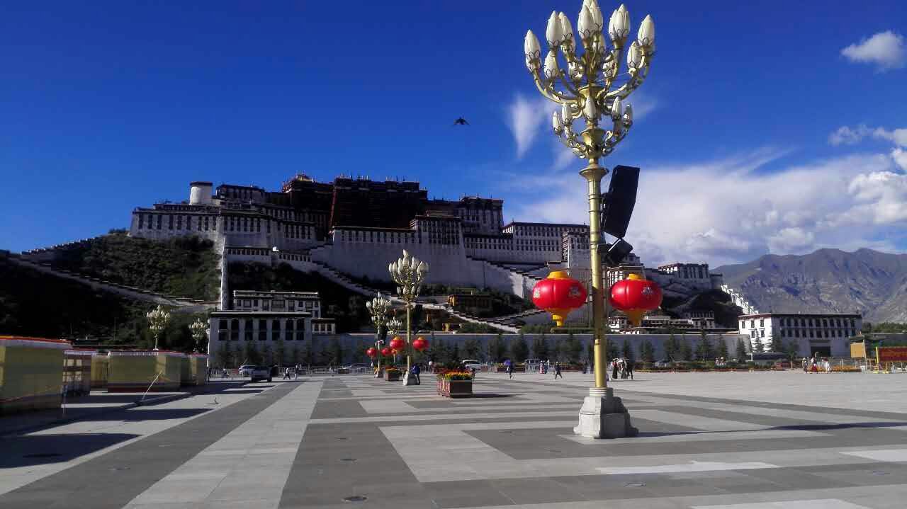 春字型led燈籠廠家直銷圖片/春字型led燈籠廠家直銷樣板圖 (4)