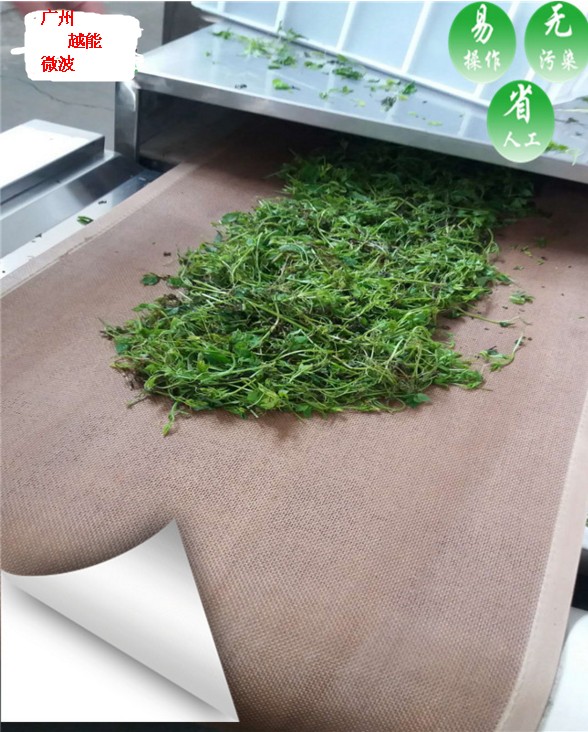 YN-20HM絞股藍(lán)茶殺青機(jī) 微波殺青工藝 連續(xù)式作業(yè)成本低