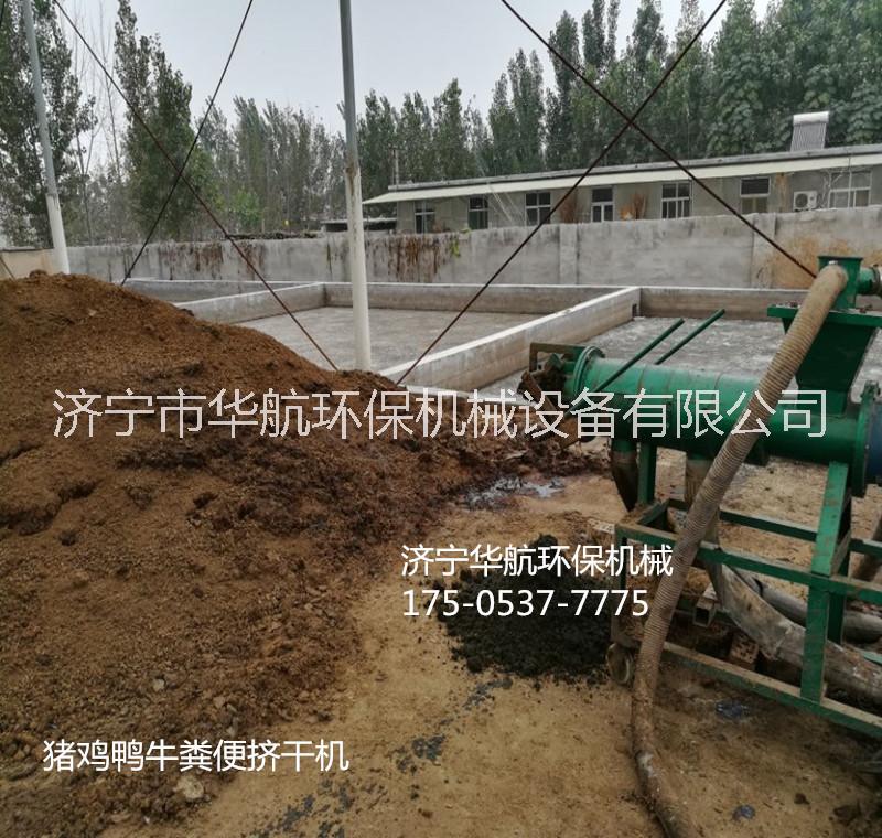 豬糞圖片/豬糞樣板圖 (4)