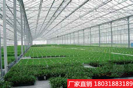 透明采光板圖片/透明采光板樣板圖 (2)