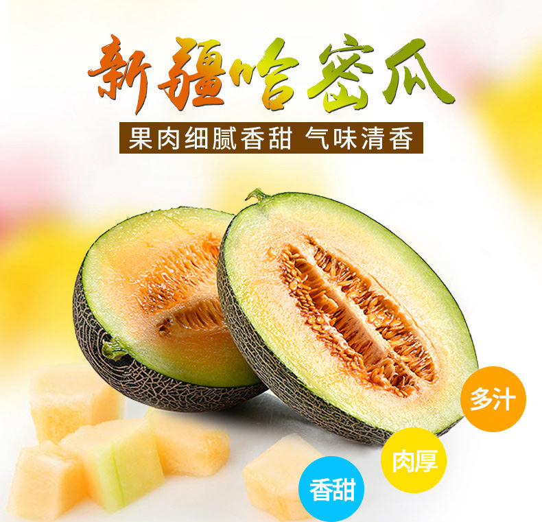 鄭州哈密瓜團購批發(fā)圖片