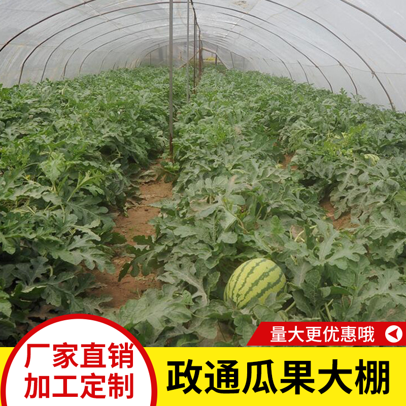 大棚圖片/大棚樣板圖 (1)