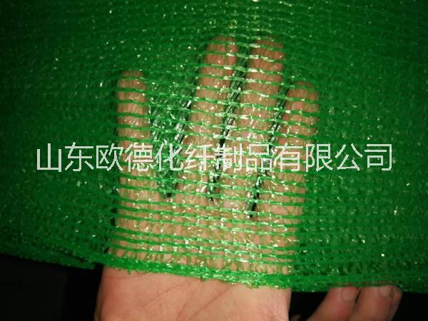 綠色蓋土網(wǎng)圖片/綠色蓋土網(wǎng)樣板圖 (1)