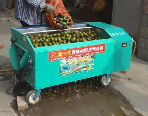 全自動(dòng)清洗剝皮一體機(jī) 青核桃清洗去皮一體機(jī)