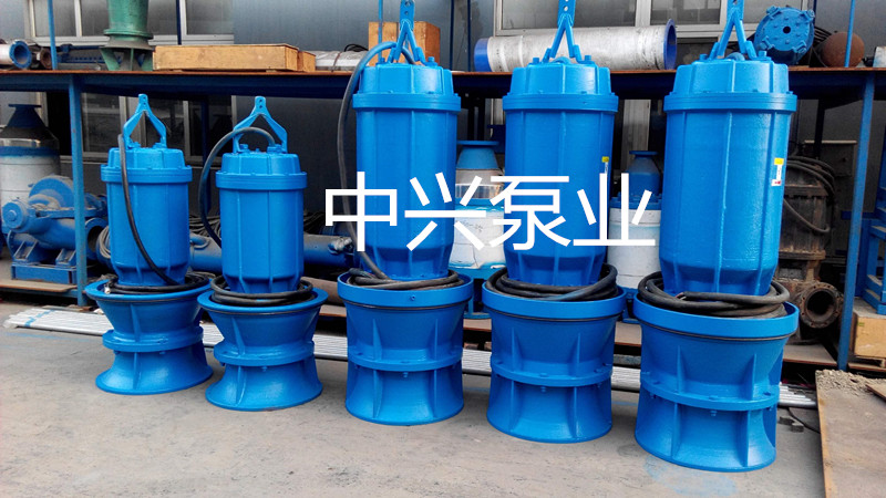 天津900QZB潛水軸流泵大口徑圖片/天津900QZB潛水軸流泵大口徑樣板圖 (4)