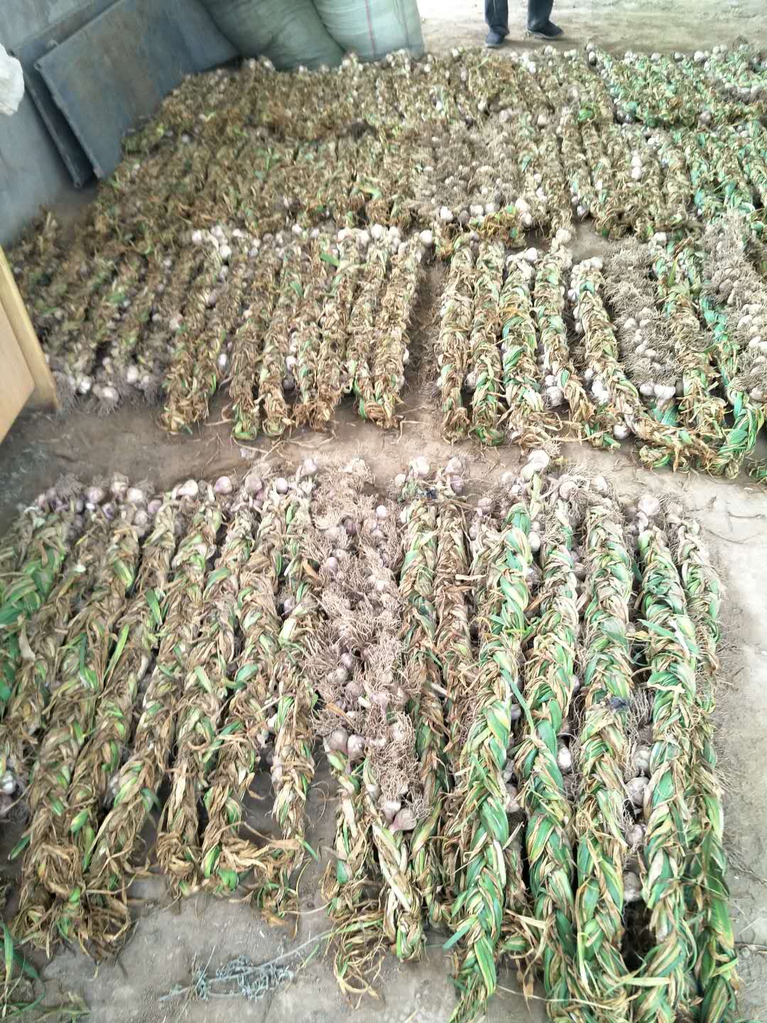 甘肅圖片/甘肅樣板圖 (3)