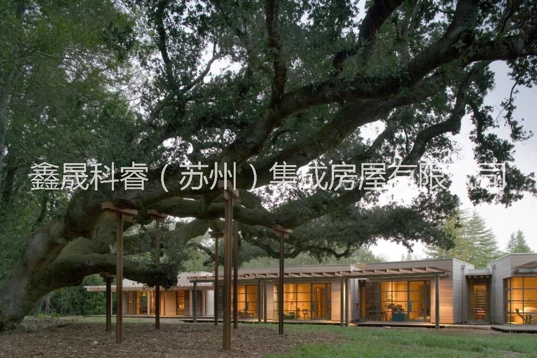 被動房1圖片/被動房1樣板圖 (1)