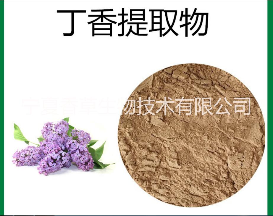 丁香叶粉价格 丁香叶提取液 槐树叶刺槐叶粉 槐树叶提取物 翅果菊提取物厂家 锦鸡籽提取液 浸膏粉 臭椿叶提取物图片