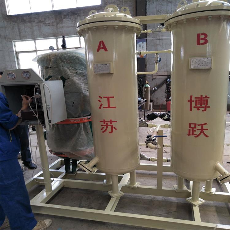 PSA碳分子篩變壓吸附制氮機(jī)圖片