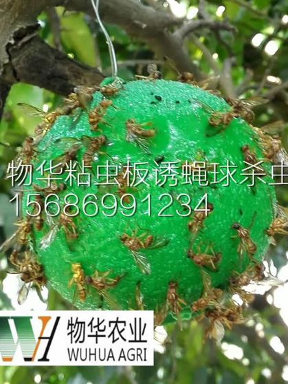 殺蟲圖片/殺蟲樣板圖 (3)