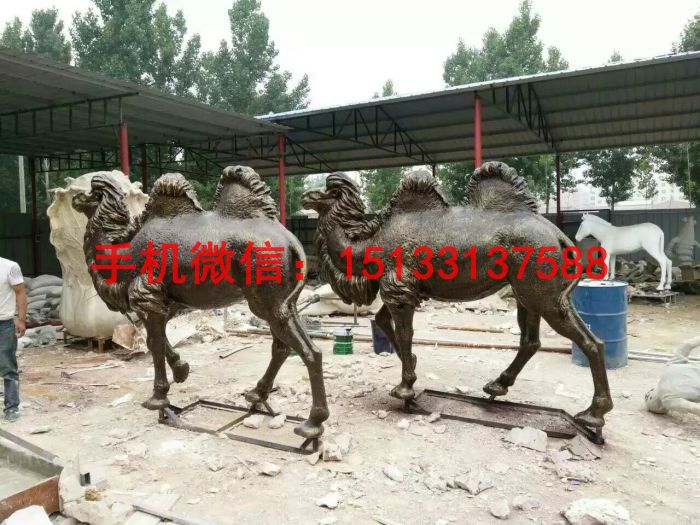 玻璃鋼駱駝雕塑 仿真駱駝雕塑