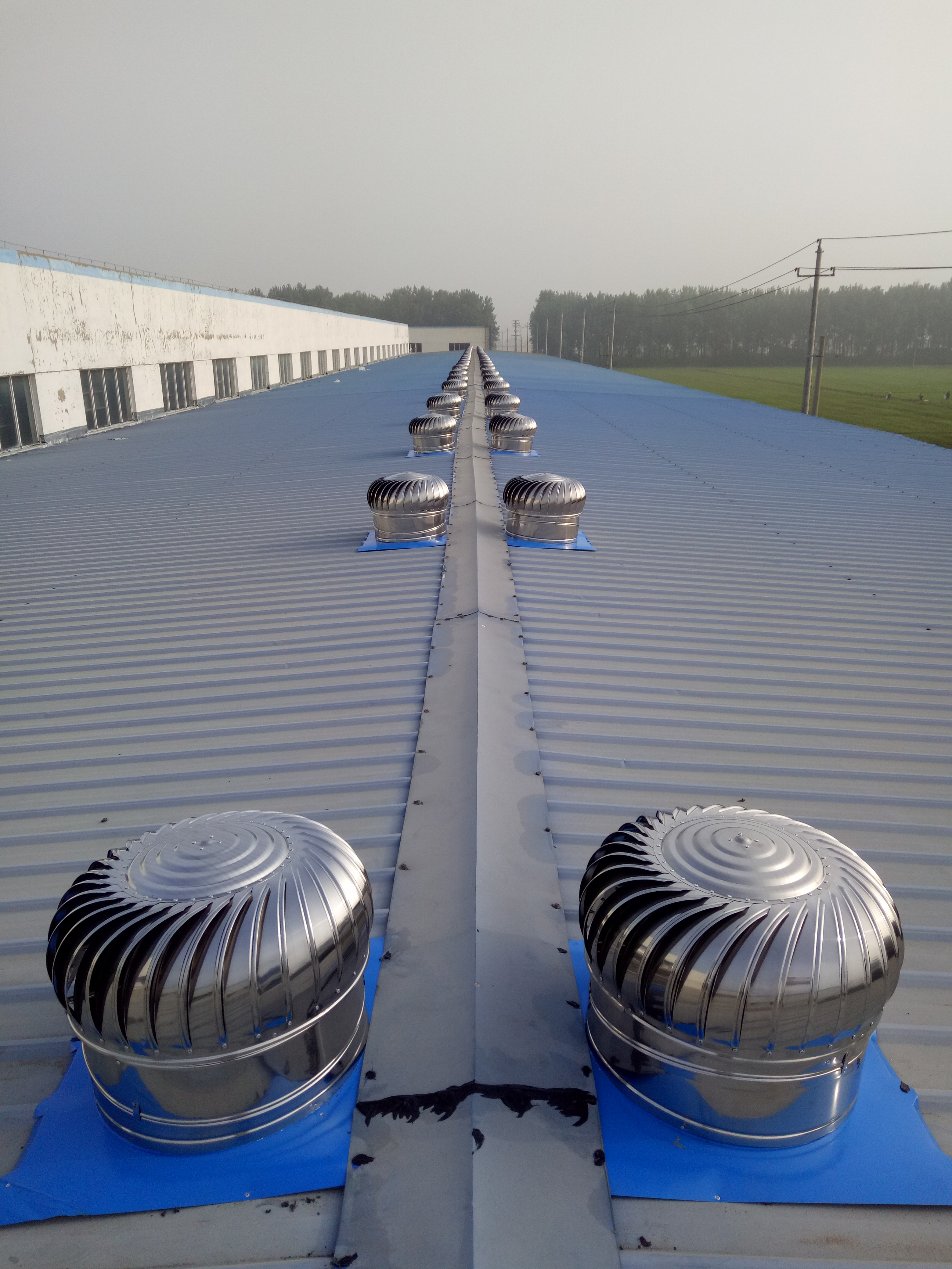 屋面通風(fēng)器圖片/屋面通風(fēng)器樣板圖 (2)