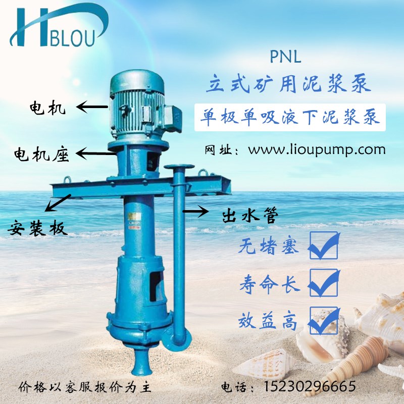 立式泥漿泵1PNL污水排污泵吸砂圖片/立式泥漿泵1PNL污水排污泵吸砂樣板圖 (3)