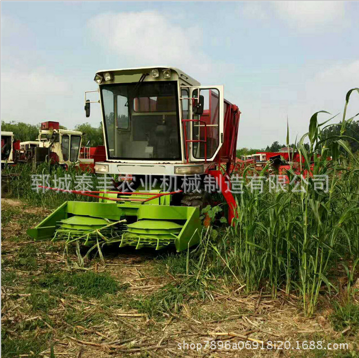 自走式收割機價格 自走式收割機供應商  自走式收割機哪家好 自走式收割機電話 山東自走式收割機
