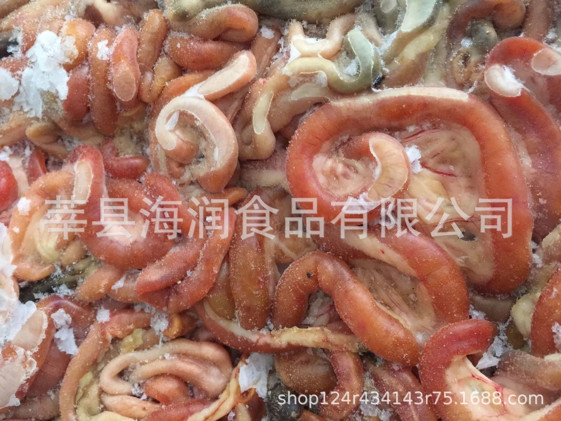 雞腸圖片/雞腸樣板圖 (3)