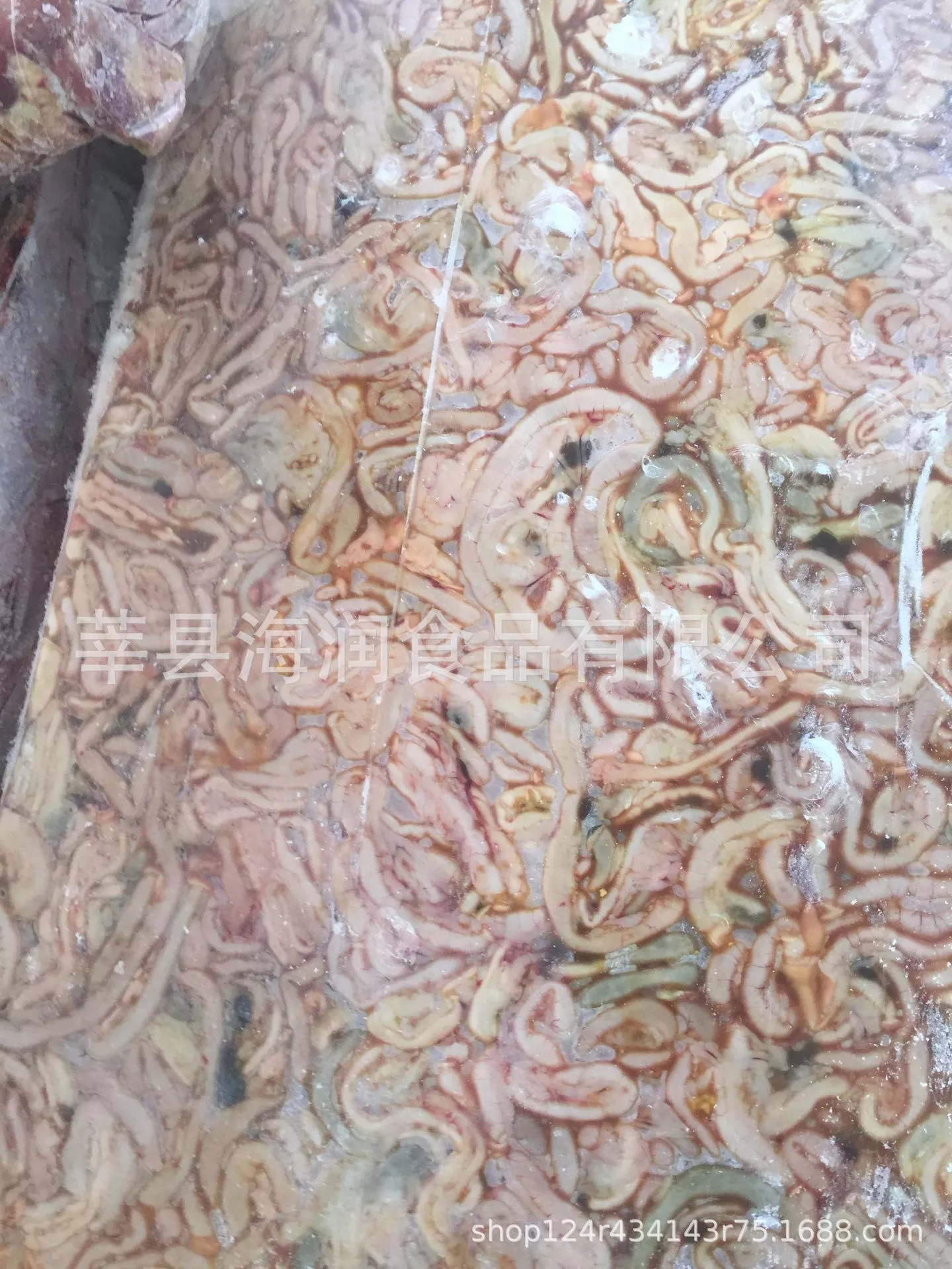 雞腸圖片/雞腸樣板圖 (1)