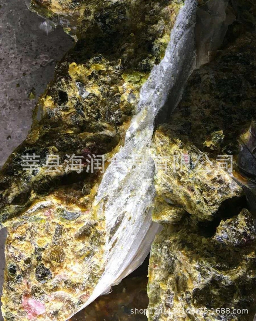 冷凍苦膽圖片/冷凍苦膽樣板圖 (3)