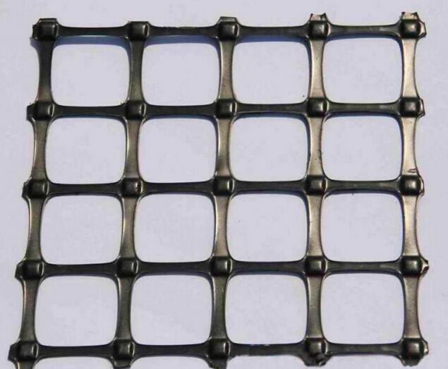 土工格柵圖片/土工格柵樣板圖 (2)