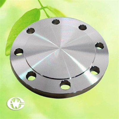 盲板法蘭圖片/盲板法蘭樣板圖 (1)