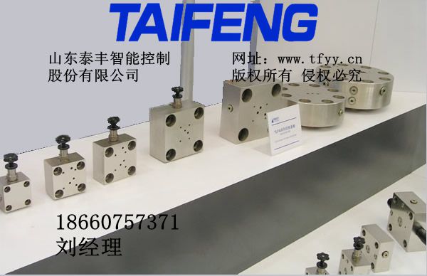 ?TLFA插裝閥蓋板?圖片